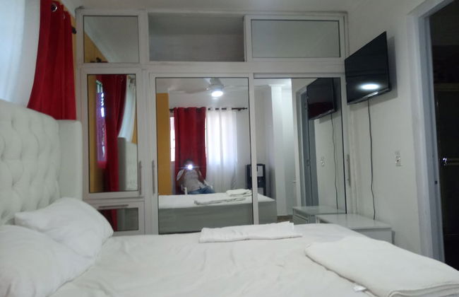 Estudio Vegano - Foto 2