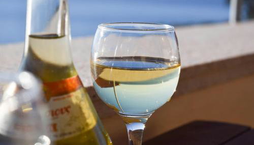 Captain's View - Photo 5