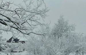 Cozy wooden house Robinia - Foto 2