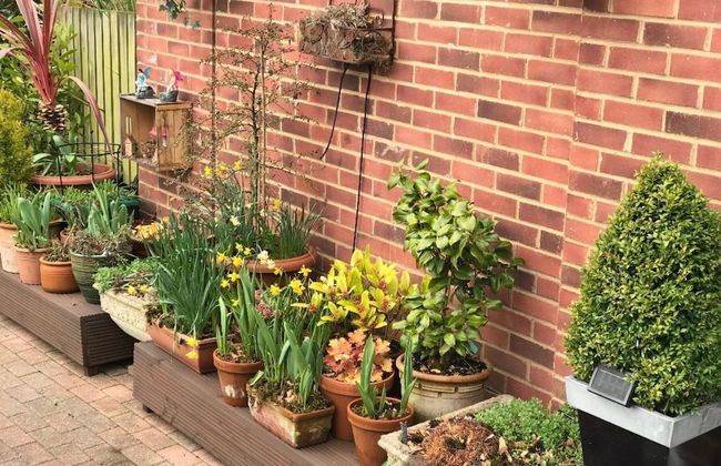 Queens Road Rental - Winchester Accommodation - Foto 34