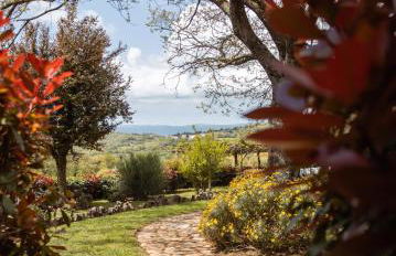 Bio Agriturismo I Lapi - Foto 24