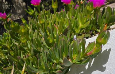 Un petit coin de paradis à Casa Bébé - Photo 47