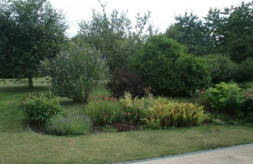 Oase im Dresdner Westen - Foto 10