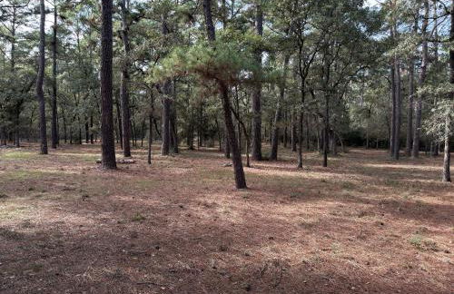 The Pine Tree Palace - Foto 3