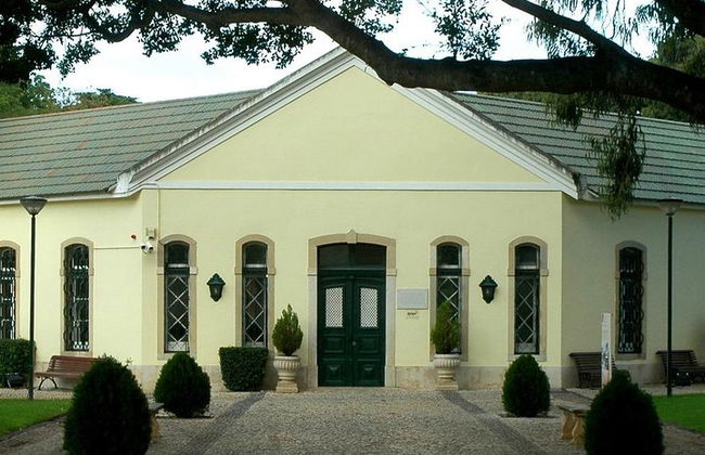 Private Full Day Tour of the Charming Village of Cascais - Photo 9