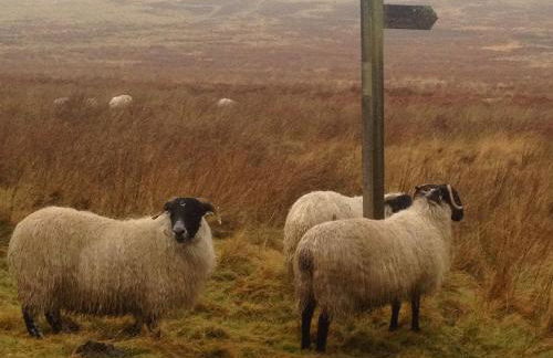 The Nook Cottage In The Heart Of Northumberland - Foto 25