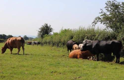 The Proven House - Foto 23