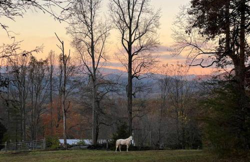 Dreamy Cabin & Outdoor Oasis! Mins to Nat'l Park! - Photo 49