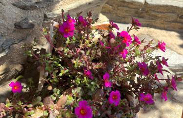 Anastasia Luxury Villas - Photo 68