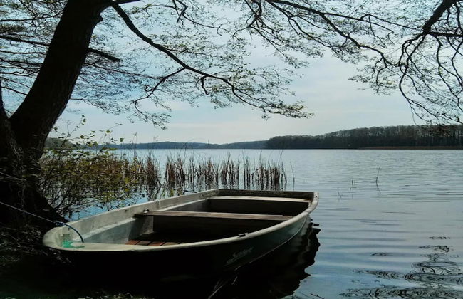 Reihenhaus mit Wlan in Buchholz am Muritzsee - Foto 56