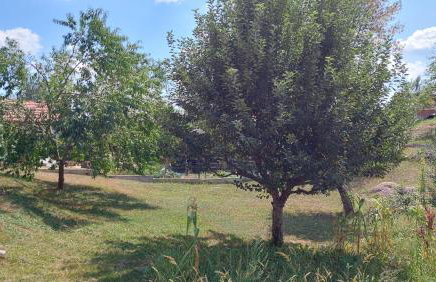 Kuća za odmor ,Erdelj 21 B - Foto 56