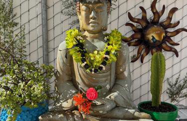 Some Tuesday Ranch - Foto 24