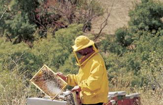 Azienda Agrituristica Bergi - Foto 113