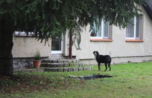 Gospodarstwo Agroturystyczne Agroletnica - Foto 107