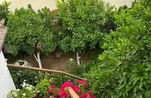 Studios Maro - Foto 13