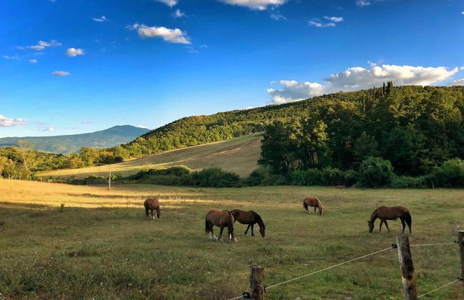 Agriturismo Piombaia - Foto 25