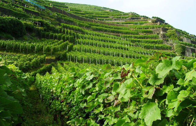 Beautiful Holidayhome With Sauna and Terrace - Photo 32