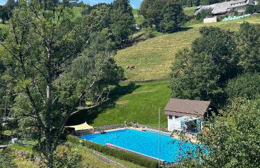 Schwarzwald Chalet Matti in Todtnauberg - Foto 73