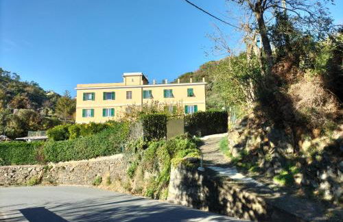 Green House - Foto 14