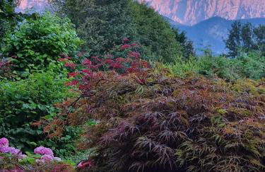 Ferienwohnungen beim Silbergersee - Foto 55