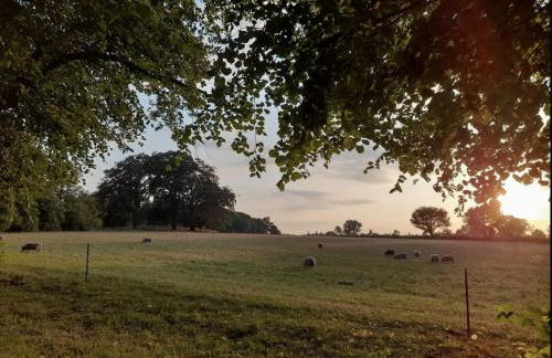 Evelith Manor Barns - Foto 17