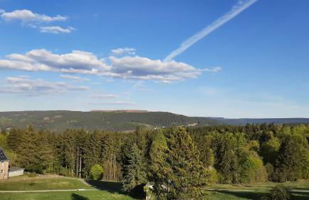 Panoramaferienwohnung Bergwiese - Foto 13