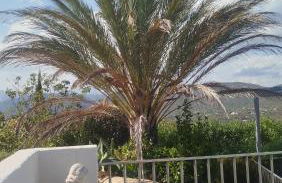 Villa les Palmiers pool spa view of Bavella - Foto 34