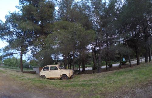 VisitAylinVis - Foto 48