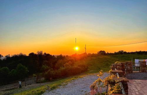 Azienda agricola Panorama - Foto 10