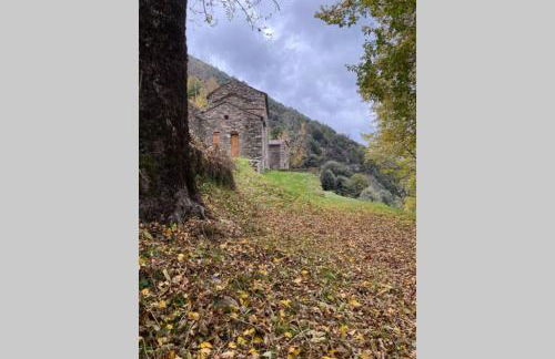 La Pellegrine, Parc national des Cévennes - Foto 8