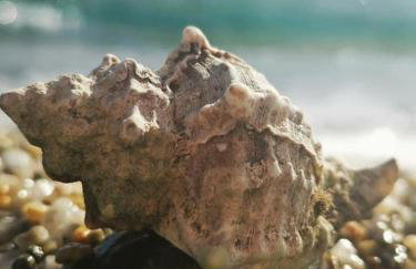 Sun Senses beach front villa with private beach - Photo 74