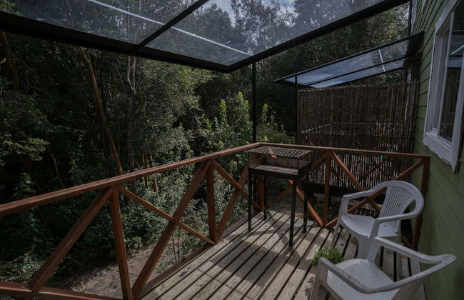 Cabañas Ensenada Bosque Nativo - Foto 50