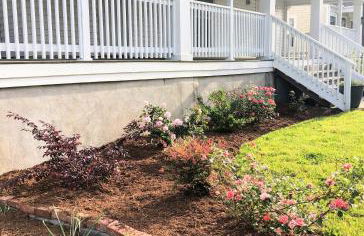 Renovated 3 bedroom close to downtown! - Photo 6