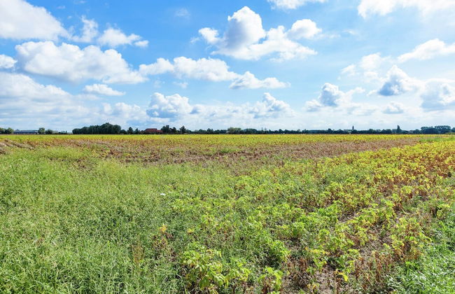 West Flanders Vacation Home - Foto 22