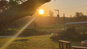 Casa Sítio Campo e Mar Balneário Picarras - Foto 5, Garden, Garden view