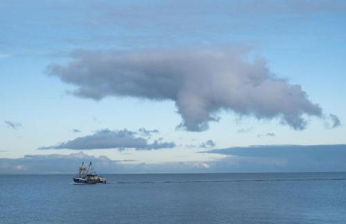 Quirky fisherman's cottage by the sea in Brixham - Photo 41