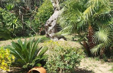 Bill's Garden Villa - Foto 13