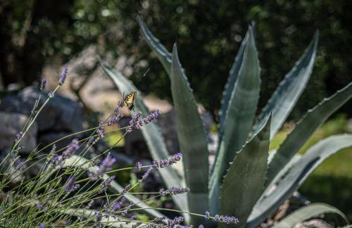 Nera Etwa House - Photo 17