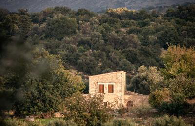 The Quintessential Cretan Villa - Photo 33
