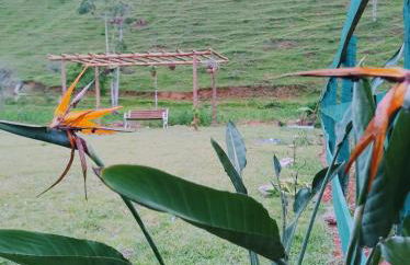 Refúgio do Córrego em Patrimônio da Penha - Foto 20