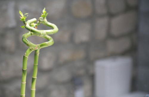 Apartamentos Turísticos La Casa Vieja - Foto 40