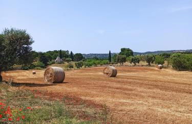 Trullo in piena valle d'itria del 1800 - Photo 39