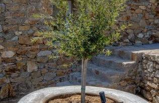 Villa Artemis (Agios Lazaros, Psarou) - Foto 57