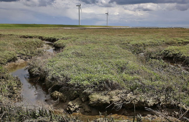 Chalet in Zeeland With Sauna by the Water - Foto 34