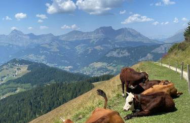 L'Ecrin des Myrtilles - Appartement cosy - Piscine et vue montagne - Alpes - Val d'Arly - Aravis et Beaufortain - Foto 47