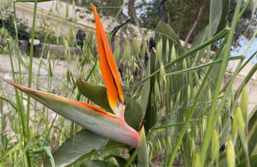 Magnifique vue sur la mer ... - Foto 79