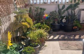 Beach Life Carabassi Beach Gran Alacant - Photo 29