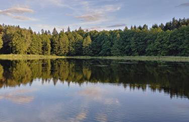 Leśny Reset - Foto 33