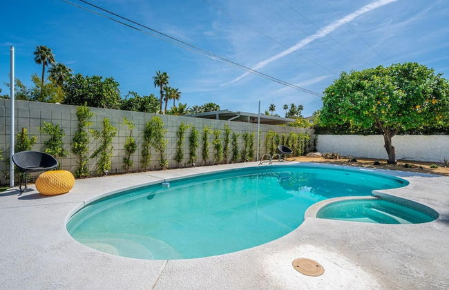 Mountain View Mid-century - Foto 46