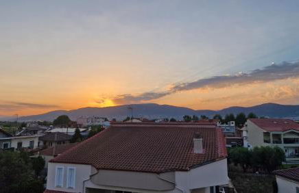 Aelio apartment - Photo 26